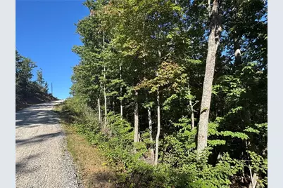Tract 47 Widow Mountain Drive, McGrady, NC 28649 - Photo 4