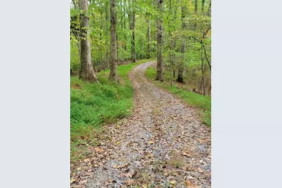 1849 Mission Extension Road, Danbury, NC 27016 - Photo 6