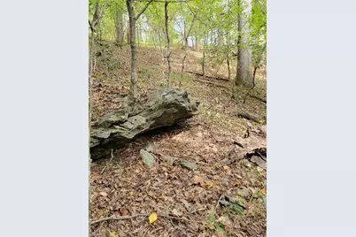 1849 Mission Extension Road, Danbury, NC 27016 - Photo 12