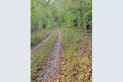 1849 Mission Extension Road, Danbury, NC 27016 - Photo 10
