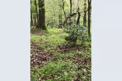 1849 Mission Extension Road, Danbury, NC 27016 - Photo 16