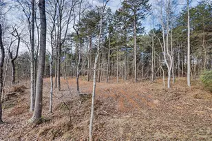 856 Ponderosa Heights Pl, Asheboro, NC 27205 - Photo 30