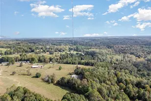 624 Lowe Rd, Madison, NC 27025 - Photo 42