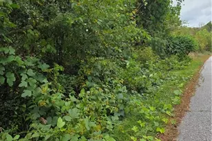 000 Holly Brook St, North Wilkesboro, NC 28659 - Photo 1