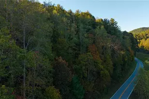 00 Shell Creek Rd, Ferguson, NC 28624 - Photo 1