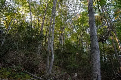 00 Shell Creek Road, Ferguson, NC 28624 - Photo 24