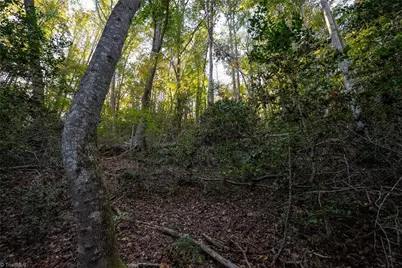 00 Shell Creek Road, Ferguson, NC 28624 - Photo 22