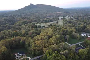 Tbd Golf Course Rd, Pilot Mountain, NC 27041 - Photo 1