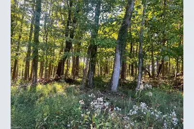 Tbd Golf Course Road, Pilot Mountain, NC 27041 - Photo 14