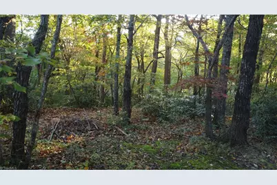 Tbd Fisher Peak Trail, Lowgap, NC 27024 - Photo 2
