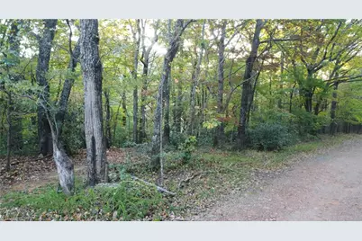 Tbd Fisher Peak Trail, Lowgap, NC 27024 - Photo 12