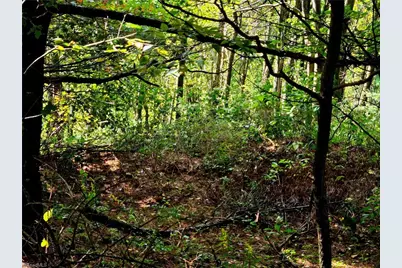 Tbd Blue Ridge Church Road, Purlear, NC 28665 - Photo 16