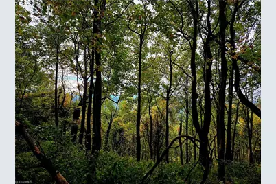 Tbd Blue Ridge Church Road, Purlear, NC 28665 - Photo 20