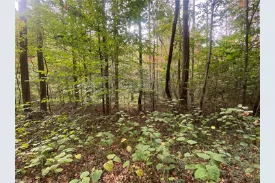 00 Bear Hollow Lane, North Wilkesboro, NC 28659 - Photo 1
