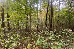 00 Bear Hollow Ln, North Wilkesboro, NC 28659 - Photo 1