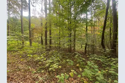 00 Bear Hollow Lane, North Wilkesboro, NC 28659 - Photo 6