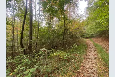 00 Bear Hollow Lane, North Wilkesboro, NC 28659 - Photo 4