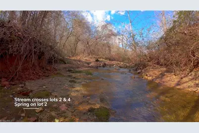 310 Jessup Grove Church Road, Pilot Mountain, NC 27041 - Photo 24