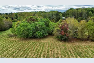 310 Jessup Grove Church Road, Pilot Mountain, NC 27041 - Photo 12