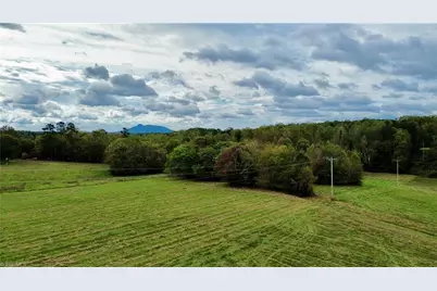310 Jessup Grove Church Road, Pilot Mountain, NC 27041 - Photo 10