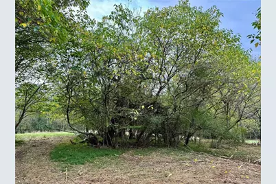 310 Jessup Grove Church Road, Pilot Mountain, NC 27041 - Photo 14