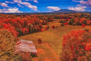 3607 Nc Hwy 268, Pilot Mountain, NC 27041 - Photo 4