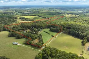 3168 Benny Lineberry Rd, Climax, NC 27233 - Photo 2