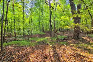 2301 Griffith Rd, Winston-Salem, NC 27103 - Photo 42