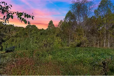 4.45Acres Gib Ferguson Road, King, NC 27021 - Photo 4