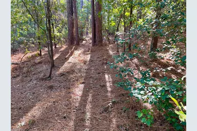 0 Hylan Avenue, Hamlet, NC 28345 - Photo 6