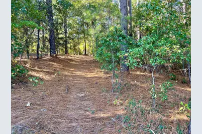0 Hylan Avenue, Hamlet, NC 28345 - Photo 1