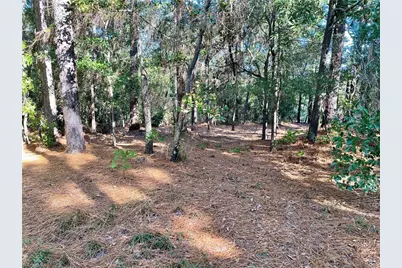 0 Hylan Avenue, Hamlet, NC 28345 - Photo 2