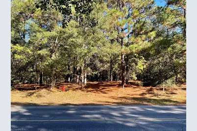 0 Hylan Avenue, Hamlet, NC 28345 - Photo 10