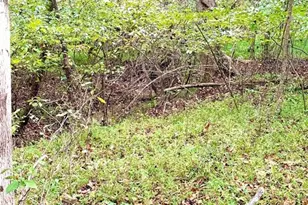 1517 Buffalo Rd, Sandy Ridge, NC 27046 - Photo 30