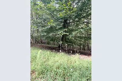 1517 Buffalo Road, Sandy Ridge, NC 27046 - Photo 32