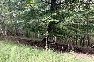 1517 Buffalo Rd, Sandy Ridge, NC 27046 - Photo 32