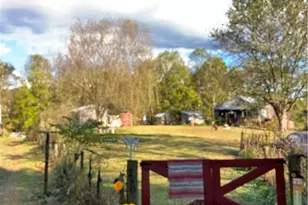 250 High Meadow Trail, Ararat, NC 27007 - Photo 4