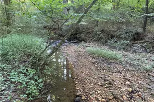 14 8 Acres Rock Haven Dr, King, NC 27021 - Photo 1