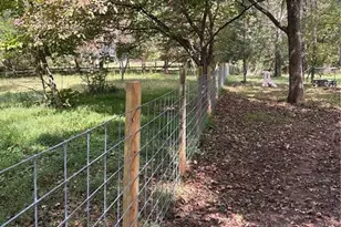 143 Galadrim Way, Advance, NC 27006 - Photo 20