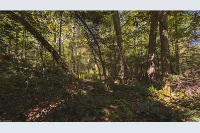 Tbd Mary Lane, Hamptonville, NC 27020 - Photo 28