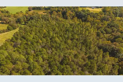 Tbd Mary Lane, Hamptonville, NC 27020 - Photo 6