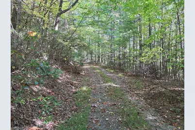 4091 Big Ivy Road, Purlear, NC 28665 - Photo 34