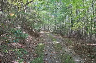 4091 Big Ivy Rd, Purlear, NC 28665 - Photo 34