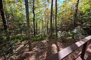 4091 Big Ivy Rd, Purlear, NC 28665 - Photo 8