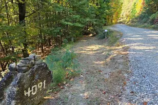 4091 Big Ivy Rd, Purlear, NC 28665 - Photo 36