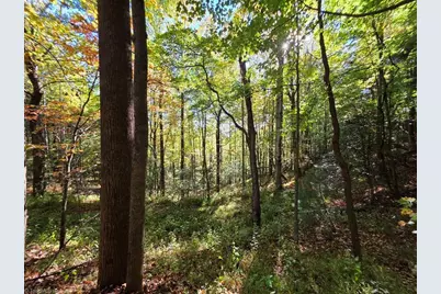 4091 Big Ivy Road, Purlear, NC 28665 - Photo 30