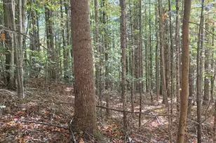 4091 Big Ivy Rd, Purlear, NC 28665 - Photo 40