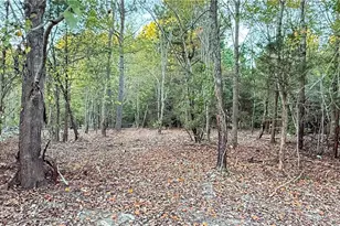 5428 Gypsy Rose Dr, Liberty, NC 27298 - Photo 24