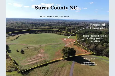 481 Ellis Hardy Road #22.3 Ac, Pinnacle, NC NC - Photo 2