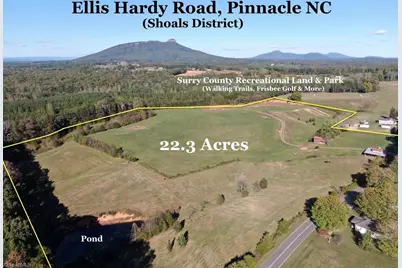 481 Ellis Hardy Road #22.3 Ac, Pinnacle, NC NC - Photo 1